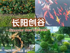 -长阳创谷