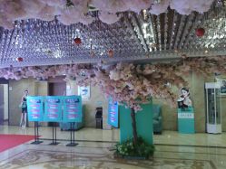 -重庆军美医疗美容医院