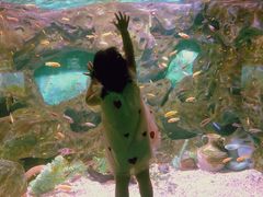 -常州海昌海洋探索馆