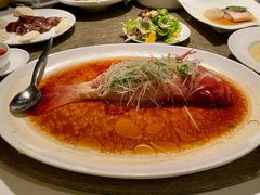清蒸东星斑-苏浙总会(国金中心店)