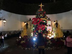 -黄枝记(议事亭前地店)