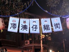 -猫咪博物馆(顶澳仔猫街店)