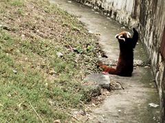 -合肥野生动物园