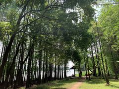 -东湖落雁景区
