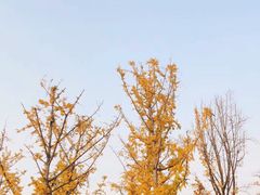 -两江幸福广场