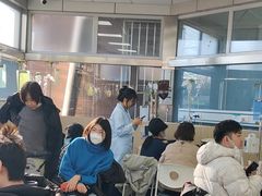 -中国农业大学动物医院
