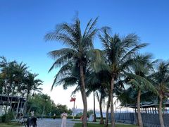 -深圳湾木棉花酒店