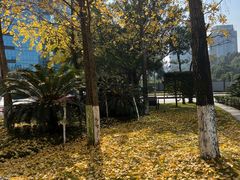 -两江幸福广场