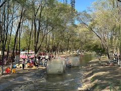 -长白岛森林公园