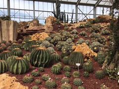 -南通洲际绿博园