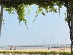 -碧海金沙