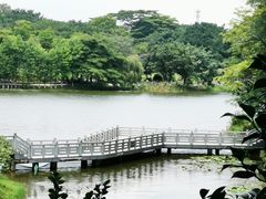 -东莞植物园
