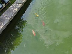 -浙江大学(玉泉校区)
