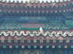 -颐和园
