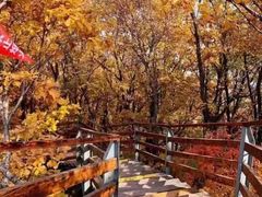 -黑龙潭风景区