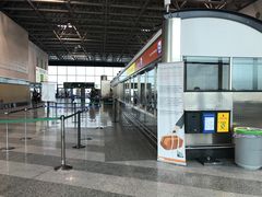 -米兰马尔彭萨国际机场