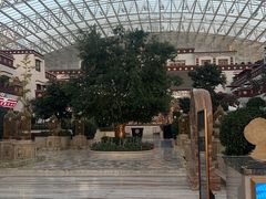 -拉萨圣地天堂洲际大饭店-自助餐厅