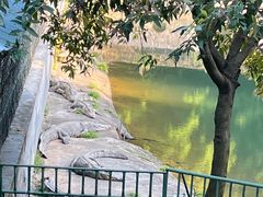 -三水森林公园