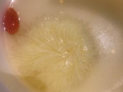 菊❀豆腐汤-厉家菜(金宝街店)