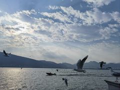 -海埂大坝
