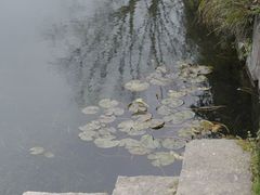 -东梓关景区村庄