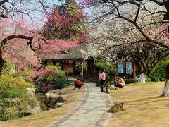 -杭州植物园