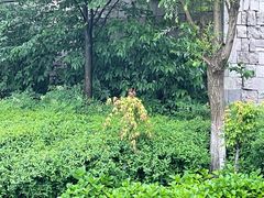 -绍兴镜湖国家城市湿地公园