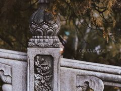 -八大处公园
