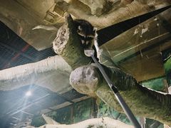 -绿色星球动物主题公园