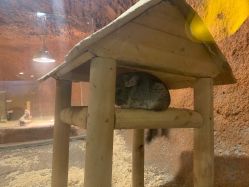 -酷嗒动物文化乐园(cutezoo西溪乐天城店)