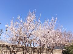 -三里河公园