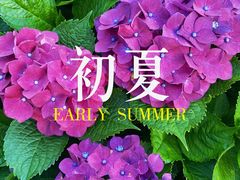 -鼓岭旅游度假区