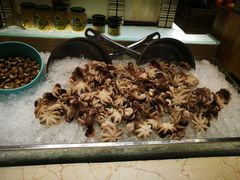 -富力希尔顿酒店·地阔自助餐厅