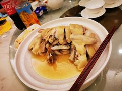 -黄埔华苑酒家(黄埔店)