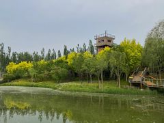-东郊湿地公园