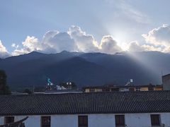 -喵屿·大理花园猫咖