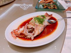 东星斑-海都六福酒家(世博广场店)