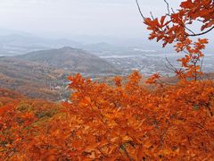 -吉林市朱雀山国家森林公园