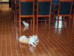 -湖南省立第一师范学校旧址