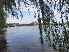 -济南大明湖景区