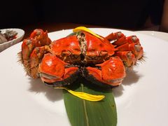 -觀芷隐轩
