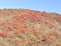 -水峪民俗村