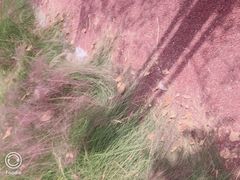 -剪刀石头布家居广场