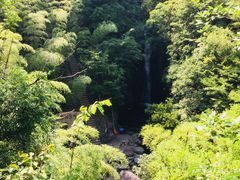 -众神白水涧景区