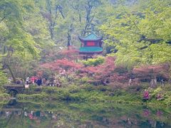 -岳麓山风景名胜区
