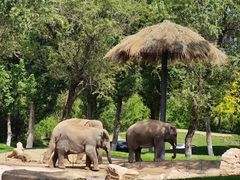 -北京野生动物园