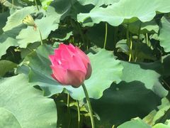 -古田会议纪念馆