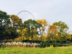 -蠡湖大桥公园