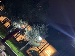 -喜来登酒店-盛宴标帜海鲜自助