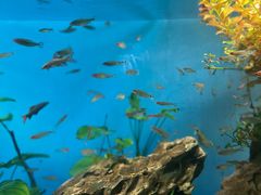 -太平洋海底世界